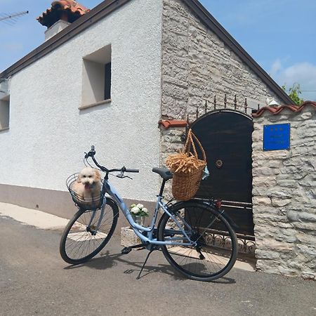 קאנפאנאר Authentic Istria&Pet Friendly Apartment Banko Near Rovinj מראה חיצוני תמונה