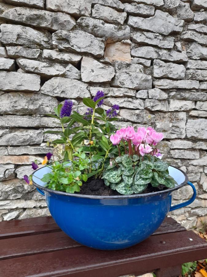 קאנפאנאר Authentic Istria&Pet Friendly Apartment Banko Near Rovinj מראה חיצוני תמונה