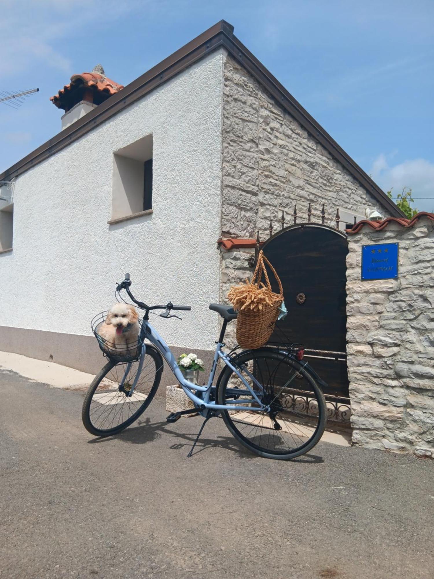 קאנפאנאר Authentic Istria&Pet Friendly Apartment Banko Near Rovinj מראה חיצוני תמונה