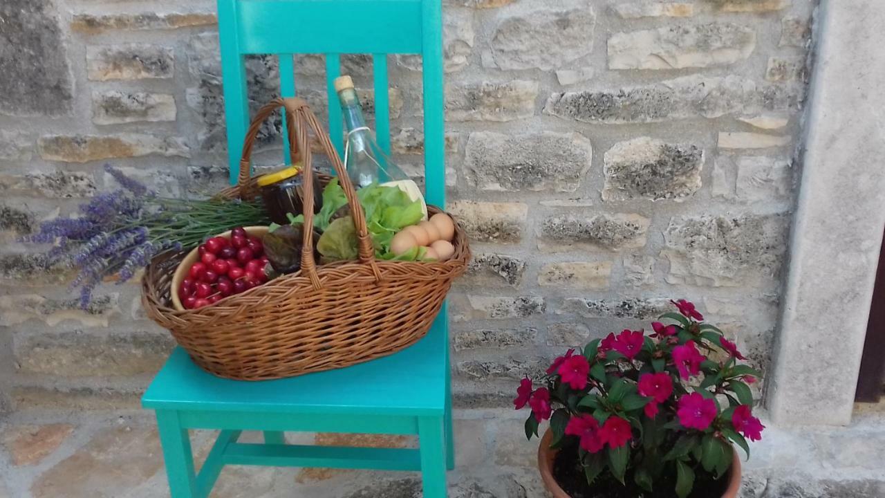 קאנפאנאר Authentic Istria&Pet Friendly Apartment Banko Near Rovinj מראה חיצוני תמונה
