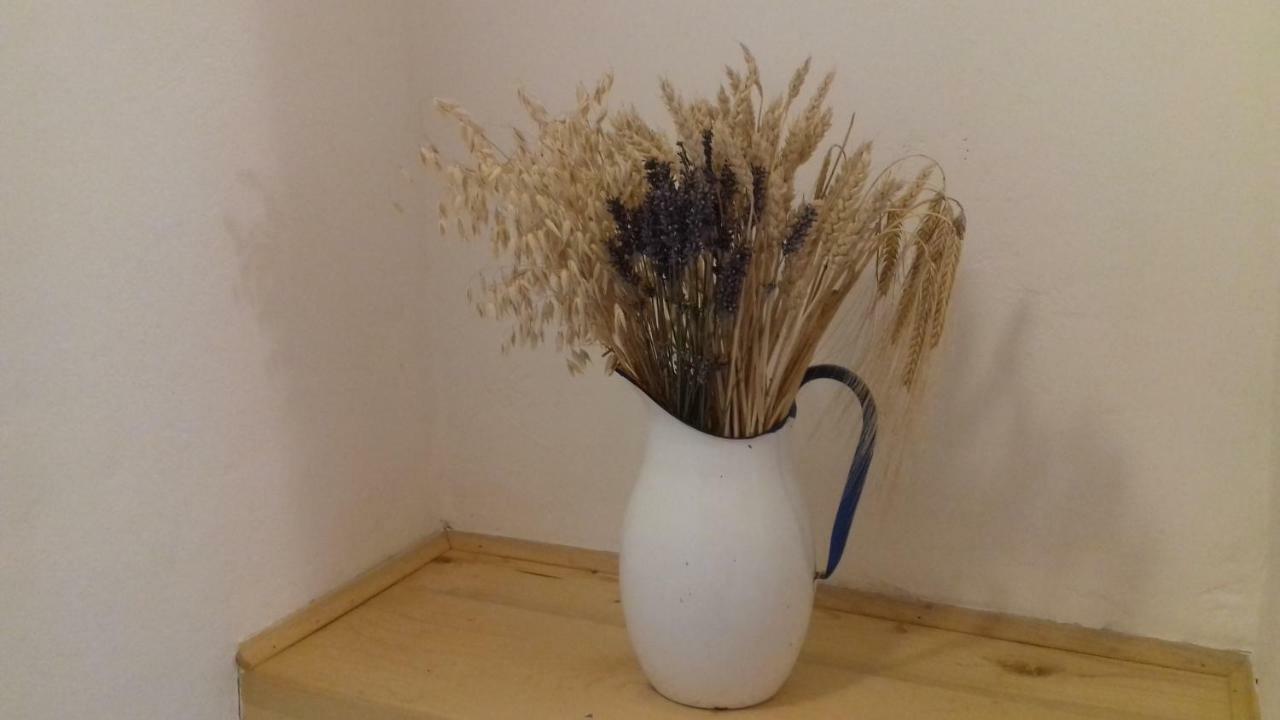 קאנפאנאר Authentic Istria&Pet Friendly Apartment Banko Near Rovinj מראה חיצוני תמונה