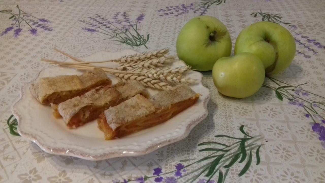 קאנפאנאר Authentic Istria&Pet Friendly Apartment Banko Near Rovinj מראה חיצוני תמונה